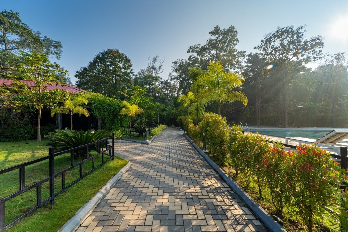 Dandeli sightseeing — jungle path leading to tourist attractions in Western Ghats