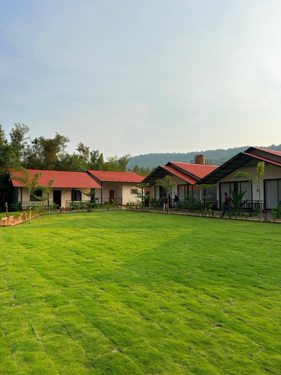 Nadi Teera Dandeli premium cottages with red roofs and open green lawn for families and couples
