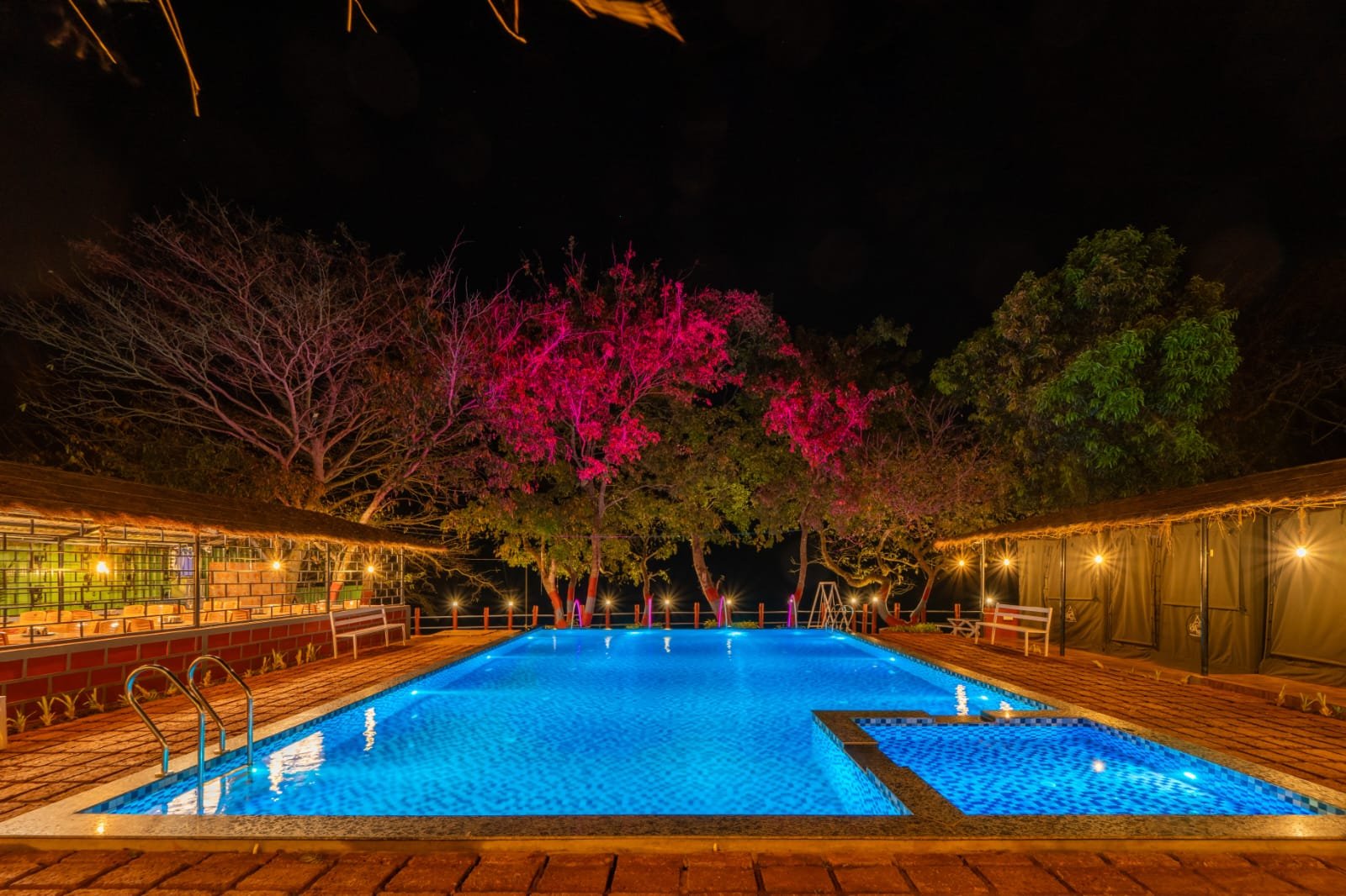 Nadi Teera Dandeli swimming pool at night with illuminated trees