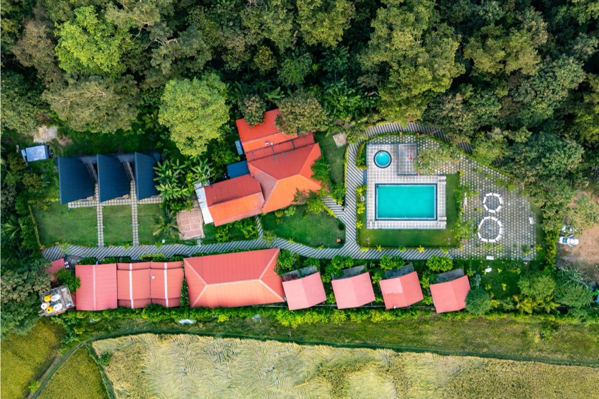 Jungle Edge Dandeli — lush forest resort view